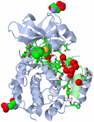 Image Asym./Biol. Unit - sites