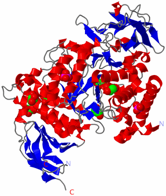 Image Asym./Biol. Unit