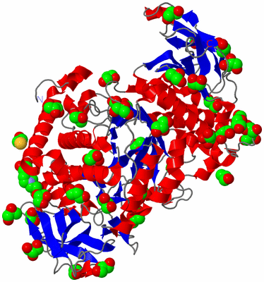 Image Asym./Biol. Unit