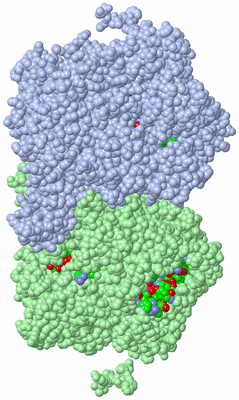 Image Asym./Biol. Unit - sites