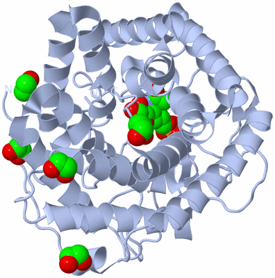 Image Biological Unit 1