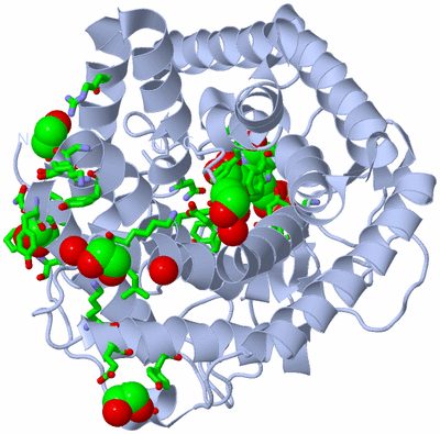 Image Biol. Unit 1 - sites