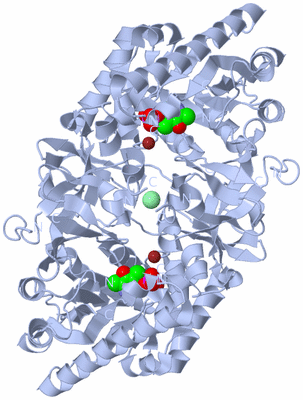 Image Biological Unit 1