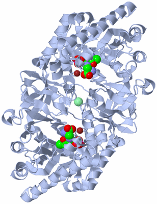 Image Biological Unit 1