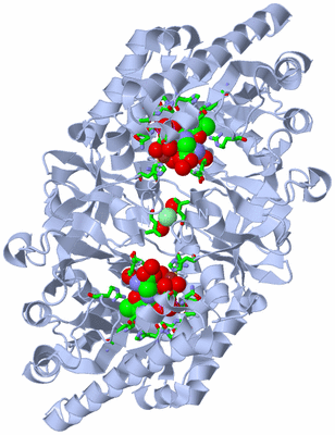 Image Biol. Unit 1 - sites