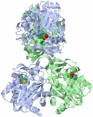 Image Biological Unit 1