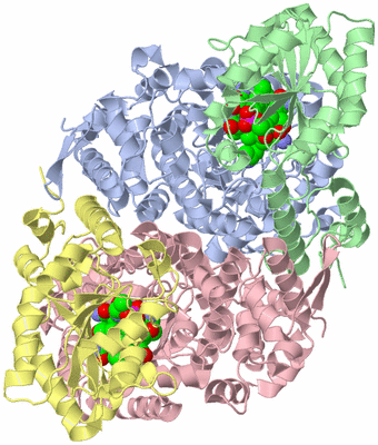 Image Asym./Biol. Unit