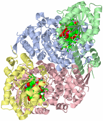 Image Asym./Biol. Unit - sites