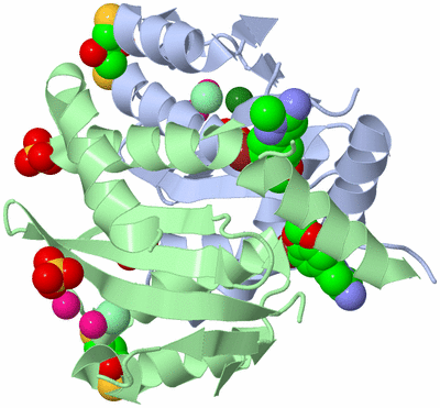 Image Asym./Biol. Unit