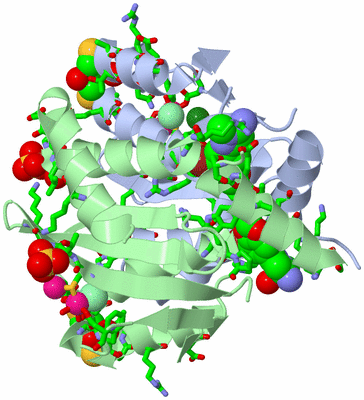 Image Asym./Biol. Unit - sites