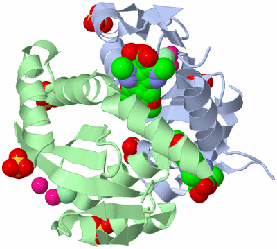 Image Asym./Biol. Unit