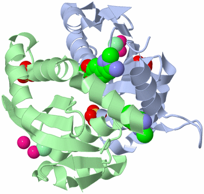 Image Asym./Biol. Unit