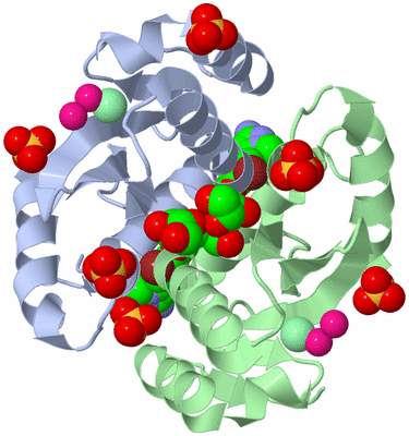 Image Asym./Biol. Unit