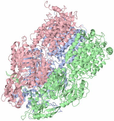 Image Asym./Biol. Unit