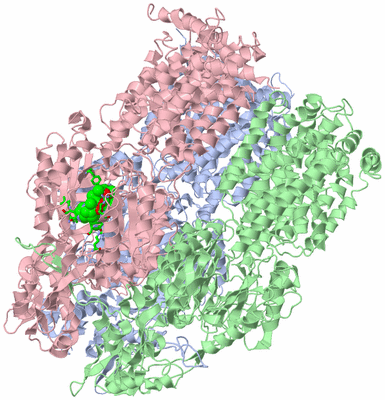 Image Asym./Biol. Unit - sites