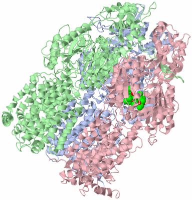 Image Asym./Biol. Unit