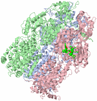 Image Asym./Biol. Unit - sites