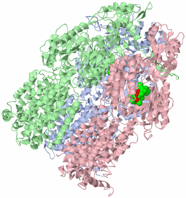 Image Asym./Biol. Unit