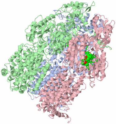 Image Asym./Biol. Unit - sites