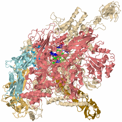 Image Biological Unit 2