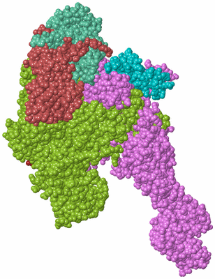 Image Biological Unit 3