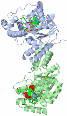 Image Biol. Unit 1 - sites