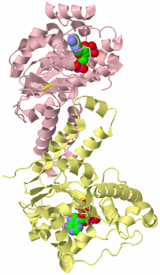 Image Biological Unit 2