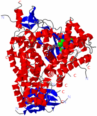 Image Asym./Biol. Unit