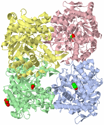 Image Asym./Biol. Unit