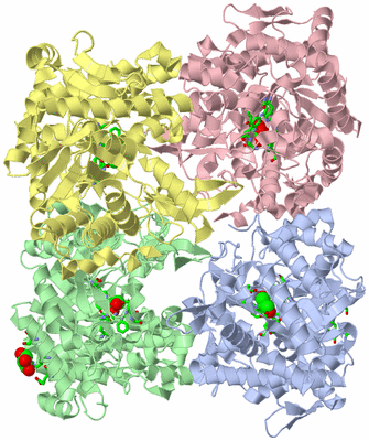 Image Asym./Biol. Unit - sites