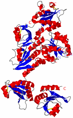 Image Asym./Biol. Unit