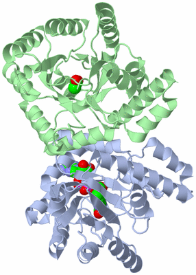 Image Biological Unit 1