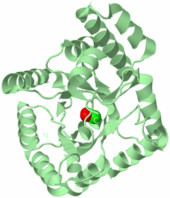 Image Biological Unit 3