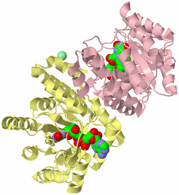 Image Biological Unit 2