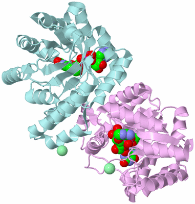 Image Biological Unit 3