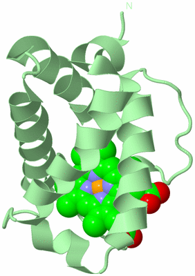 Image Biological Unit 2