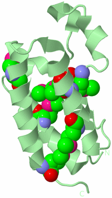 Image Biological Unit 2