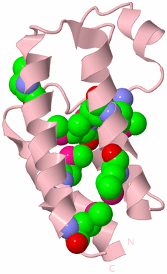 Image Biological Unit 3