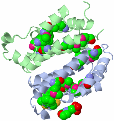 Image Biological Unit 4