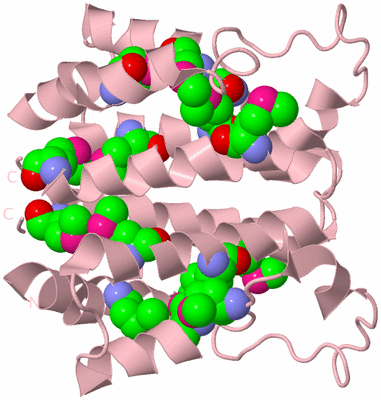 Image Biological Unit 5