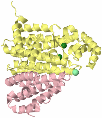 Image Biological Unit 2