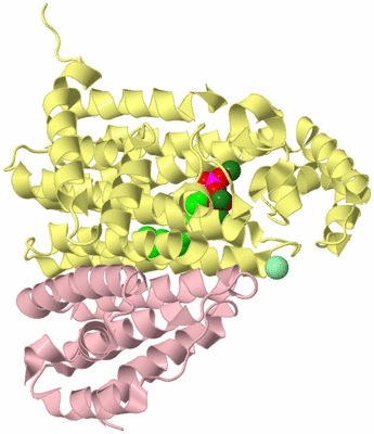 Image Biological Unit 2