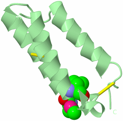 Image Biological Unit 2