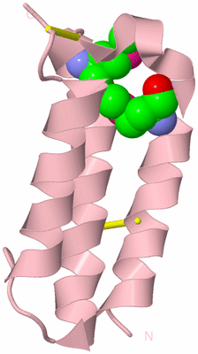 Image Biological Unit 3