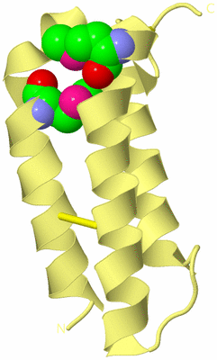 Image Biological Unit 4