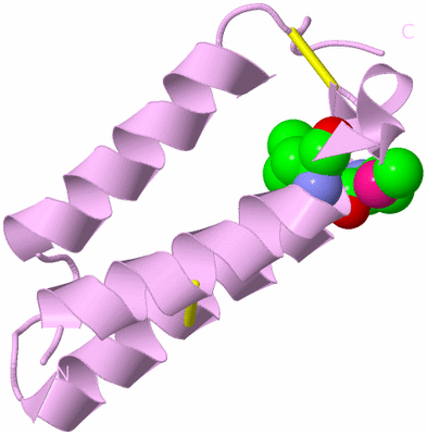 Image Biological Unit 5