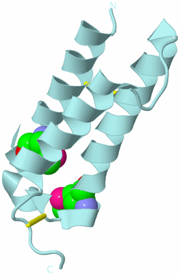 Image Biological Unit 6