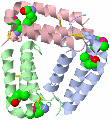 Image Biological Unit 7