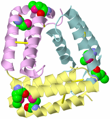 Image Biological Unit 8