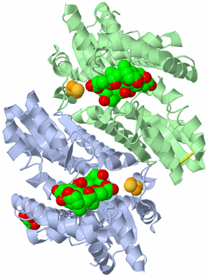 Image Asym./Biol. Unit